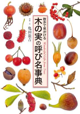 [亀田龍吉] 木の実の呼び名事典　散歩で見かける