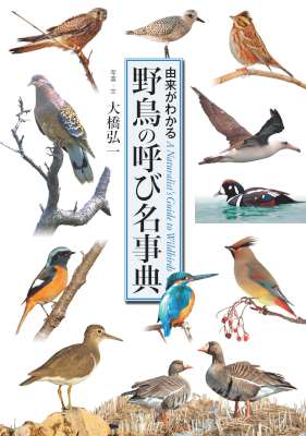 [大橋弘一] 野鳥の呼び名事典 由来がわかる