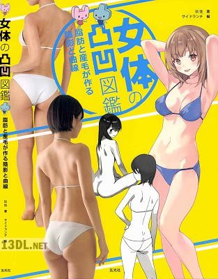 女体の凸凹図鑑 脂肪と産毛が作る陰影と曲線