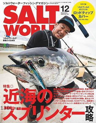 SALT WORLD (ソルトワールド) 2020年12月号